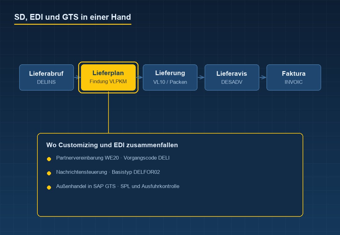 Prozesskette: Lieferabruf DELINS, Lieferplan mit Findung &uuml;ber VLPKM, Lieferung VL10, Lieferavis DESADV, Faktura INVOIC